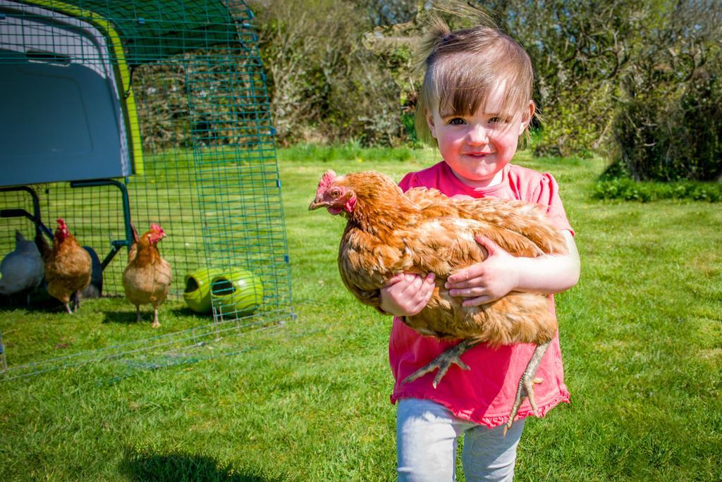 Cargurra Farm Villa Boscastle Kültér fotó